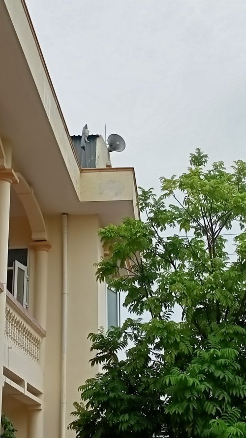 ảnh 2.jpg